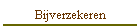 Bijverzekeren